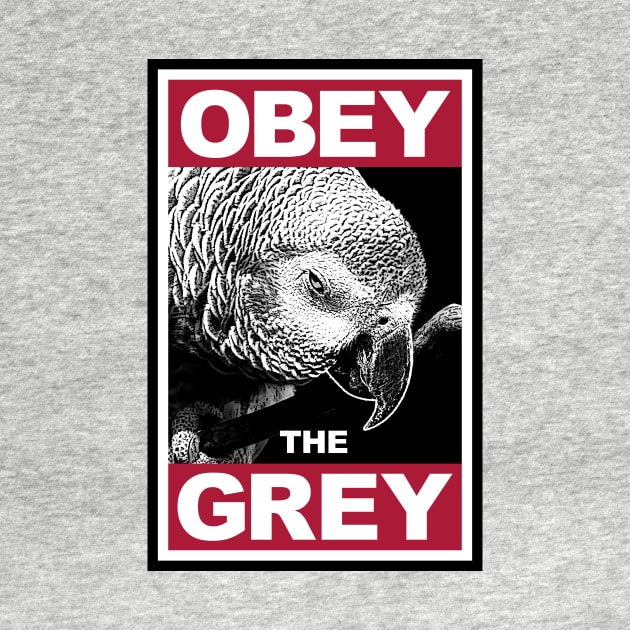 Obey the African Grey Parrot Funny Joke Meme by BirdNerd